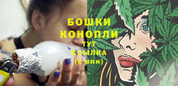 бошки Заводоуковск
