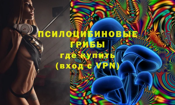 Альфа ПВП Заволжск