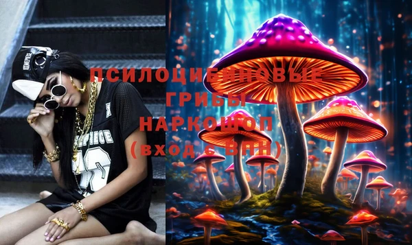 Альфа ПВП Заволжск