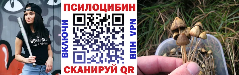 Псилоцибиновые грибы Magic Shrooms  Лахденпохья 